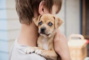 Tener animales doméstico reduce las posibilidades de sufrir asma - Mascotas - ABC Color