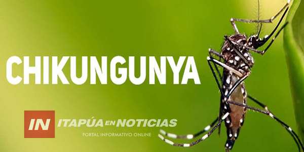 SIGUEN EN AUMENTO SOSTENIDO LOS CASOS DE DENGUE Y CHIKUNGUNYA EN ITAPÚA - Itapúa Noticias