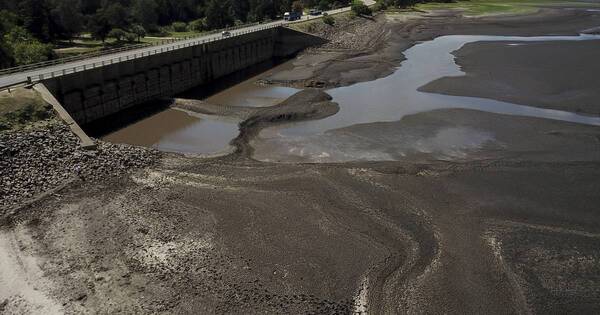 La Nación / Sequía agota reservas de agua y destruye cultivos en Uruguay