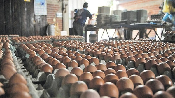 Supermercados reportan escasez de huevos - Noticias Paraguay