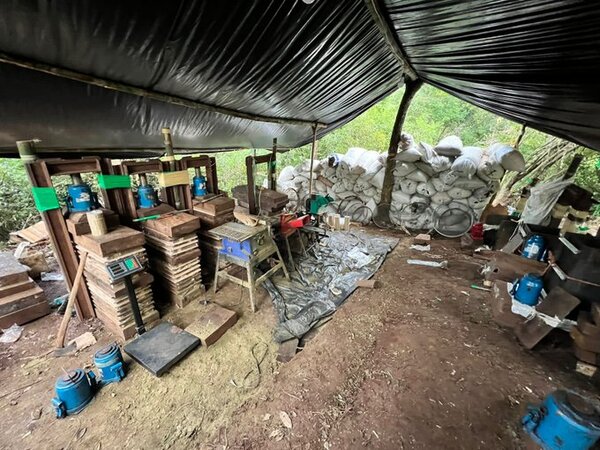 Destruyen centro de procesamiento de marihuana en la colonia San Miguel