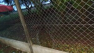 Asaltan y toman de rehén a una familia en un establecimiento agrícola - ABC en el Este - ABC Color