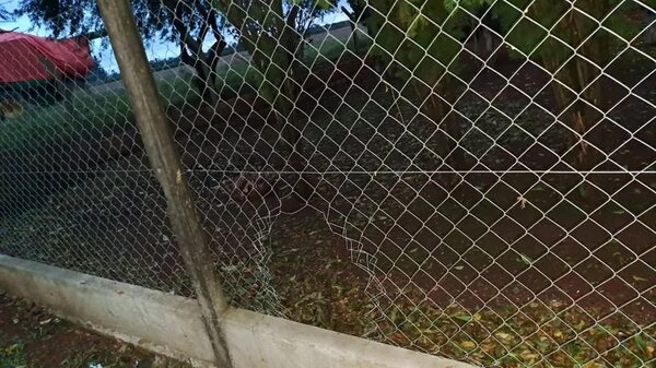 Asaltan y toman de rehén a una familia en un establecimiento agrícola - ABC en el Este - ABC Color
