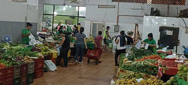 Labriegos denuncian que secretaría de agricultura de la Gobernación está de adorno - La Clave