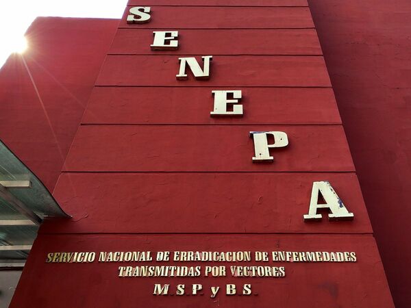 Senepa aclara que no distribuye medicamentos para el tratamiento de arbovirosis - ADN Digital