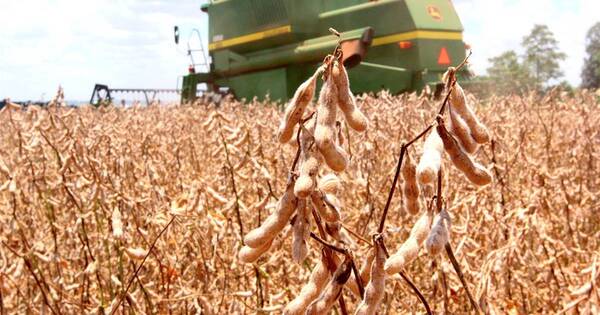 La Nación / Agricultura y generación de energía impulsaron actividad económica en primer mes del año