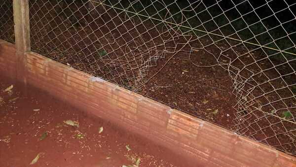 Violento asalto en un establecimiento rural de Yguazú - La Clave