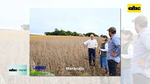 Video: Sojapar R19 y R24 se destaca en suelo brasileño - ABC Rural - ABC Color