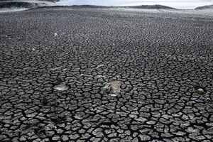 Preocupación en Uruguay por sequía que agota reservas de agua