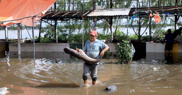 La Nación / Inundación en Remanso: vendedoras se trasladan a zonas altas para seguir atendiendo