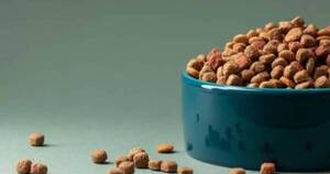 La Nación / Preocupa ingreso ilegal de productos