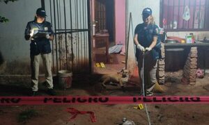 Mató a su nuera de un balazo y se quitó la vida