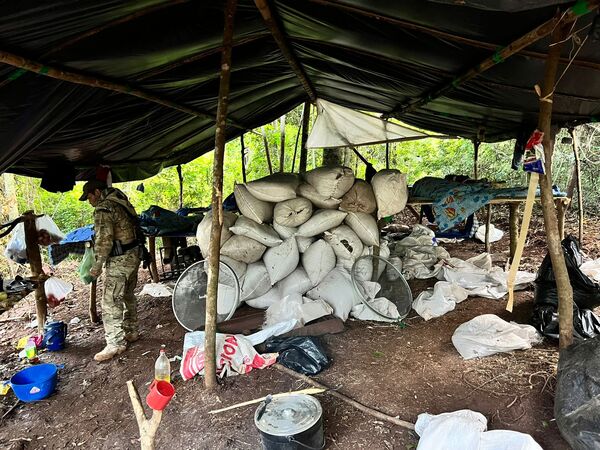 Desarticulan centro de operaciones del narcotráfico en Amambay | 1000 Noticias