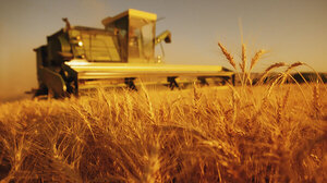 Agricultura y generación de energía impulsaron actividad económica en primer mes del año.
