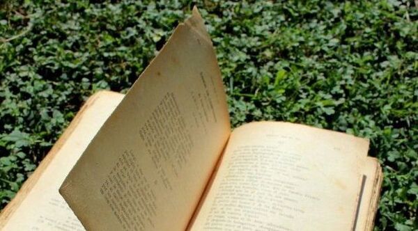 Diario HOY | Extienden convocatoria 2023 para Premio Teodoro S. Mongelós de Poesía en Guaraní