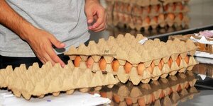 El lunes subirán precios de los huevos y, nuevamente, en Semana Santa, anuncian