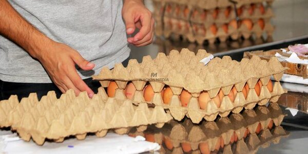 El lunes subirán precios de los huevos y, nuevamente, en Semana Santa, anuncian