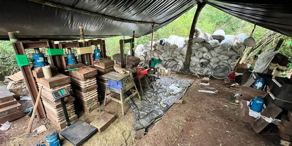 Incautan 9.000 kilos de marihuana y dos camionetas en Amambay