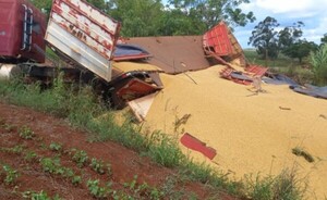Camión con 32 toneladas de soja vuelca en Iruña