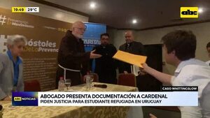 Video: Abogado presenta documentación a Cardenal  - ABC Noticias - ABC Color