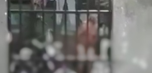Imputan a un hombre por zoofilia y abuso sexual en niños - Noticiero Paraguay