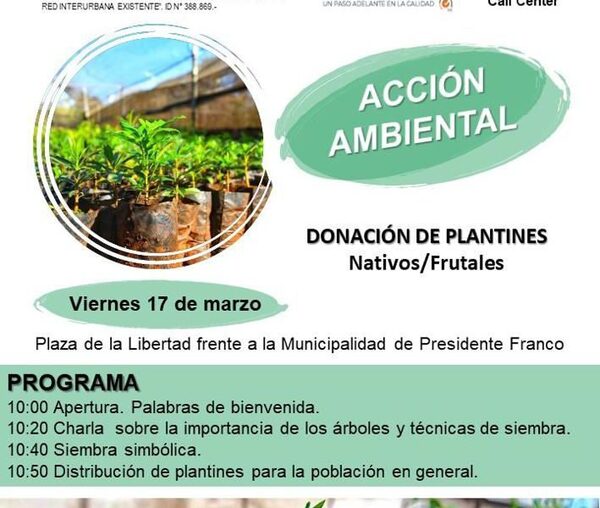 Distribuirán plantines en Franco
