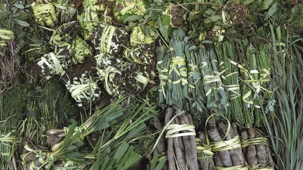 Sepa cuáles son las plantitas que alivian síntomas del chikungunya