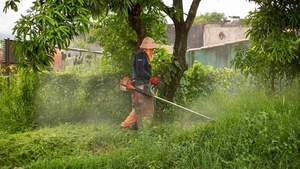 Municipalidad intervino 80 patios baldíos en el marco de la declaración de emergencia sanitaria y epidemiológica - San Lorenzo Hoy