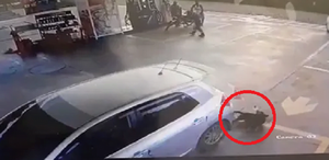 Conductor arrolló sin piedad a un perro en surtidor de Luque - Noticiero Paraguay