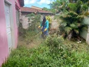 Intensifican acciones contra Aedes aegypti en Asunción y Central