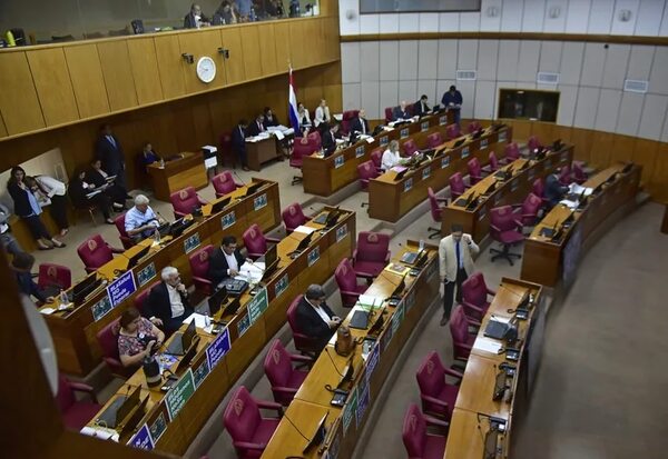 Fracasa intento cartista de condicionar la donación de la Unión Europea - Política - ABC Color