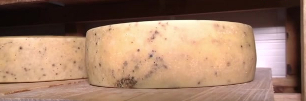 Hagamos el "Tour del Queso" - C9N