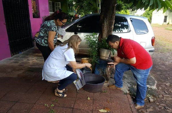 Epicentro de Chikungunya se concentra en barrios de Asunción, advierten - ADN Digital