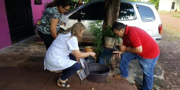 Epicentro de Chikungunya se concentra en barrios de Asunción, advierten