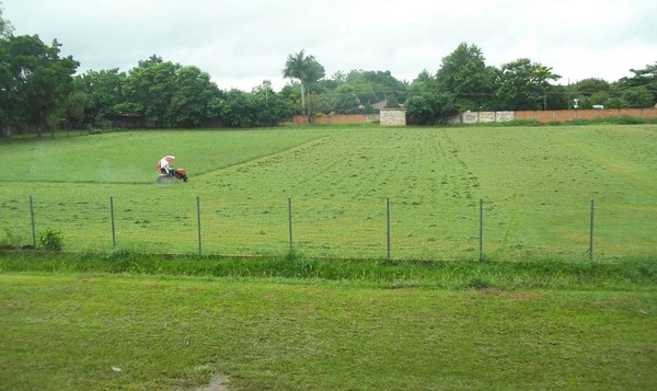 Hermoso el nuevo empastado del gramado deportivo del Club 19 de Marzo - Noticiero Paraguay