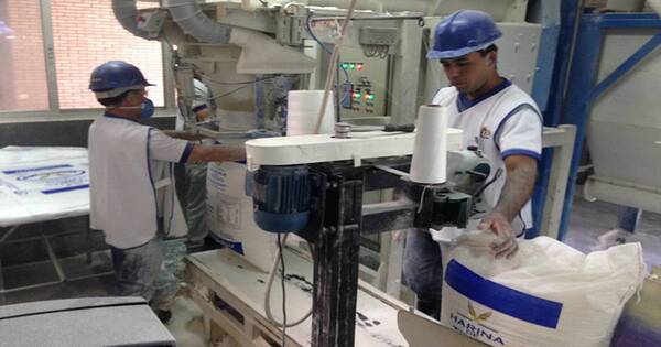 La Nación / Día Mundial de la Harina: destacan compromiso de la industria y logro de mayor calidad