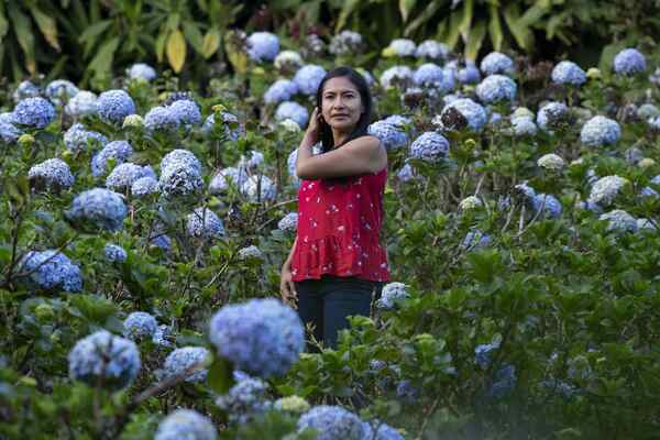 "El Campo de las Mil Flores", el nuevo atractivo turístico de Nicaragua - MarketData