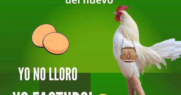 La Nación / “Las gallinas no lloran, ellas facturan”: el nuevo meme por la suba del huevo