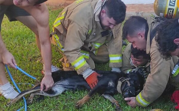 ¡Bomberos rescatan a perro de un incendio!