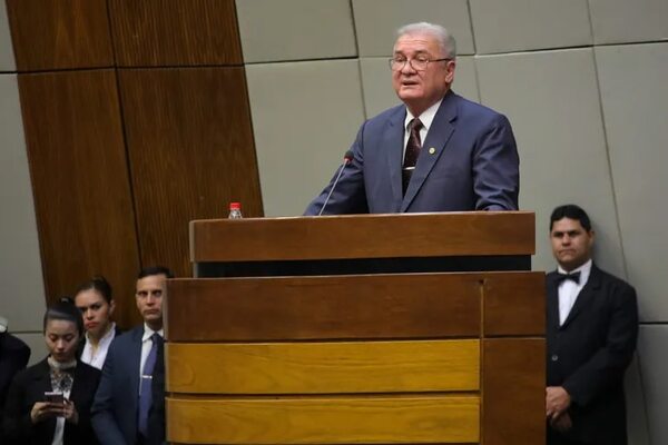 Rolón explicará al Senado programa para las elecciones y “clavos” de Quiñónez - Política - ABC Color