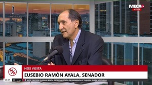 Financiamiento político incide mucho en la calidad de la representación parlamentaria, según senador liberal - Megacadena — Últimas Noticias de Paraguay