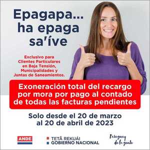 Nueva campaña de exoneración de la ANDE | 1000 Noticias