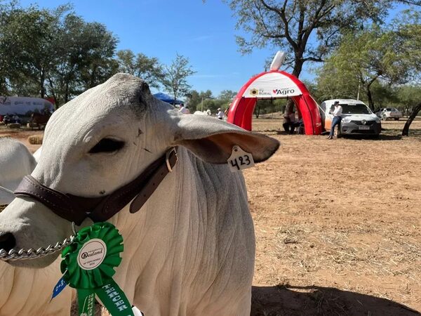 Lanzan la edición 27 de la “Expo Rodeo Neuland” - Noticias del Chaco - ABC Color