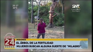 El árbol de la fertilidad - SNT
