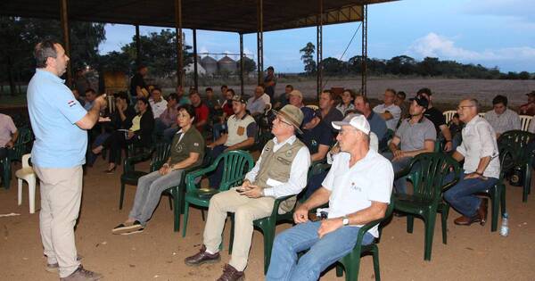 La Nación / Acercamiento del Senave a productores ayuda a solucionar problemas del campo, resaltan