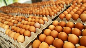 Golpe al bolsillo: Anuncian nueva suba en los precios del huevo