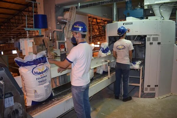Día Mundial de la Harina: Paraguay reunirá a 600 molineros del continente - Nacionales - ABC Color