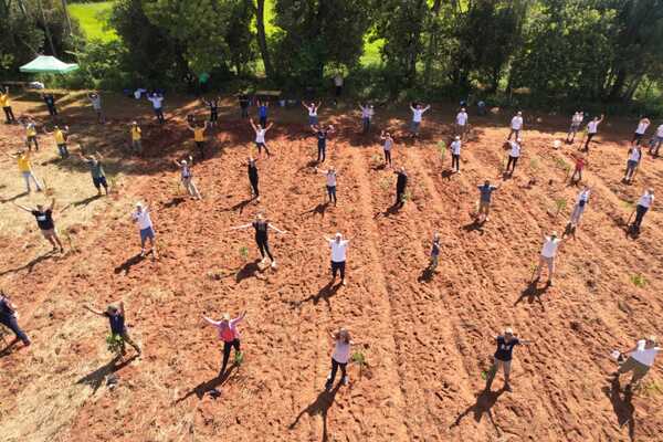 Diario HOY | Paraguay Planta suma miles de nuevos árboles en distintos puntos del país