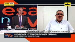 Video: Proyecto de ley sobre créditos de carbono - Mesa de Periodistas - ABC Color