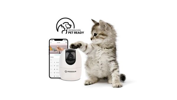 Peludos y cuidados: Prosegur lanzó PetReady para monitorear mascotas e interactuar remotamente con ellas